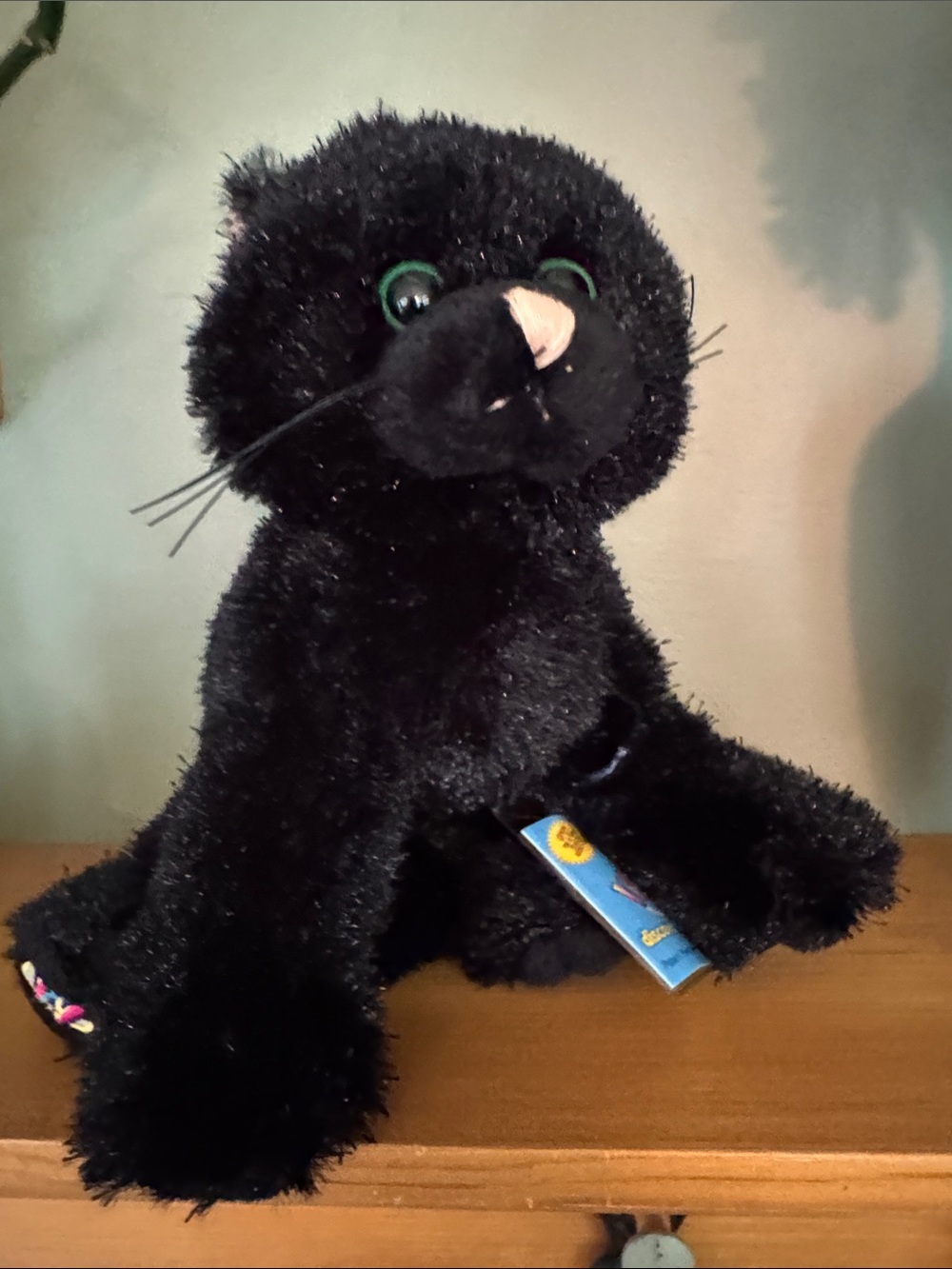Webkinz Black Cat HM135 Plush GANZ - Code attached